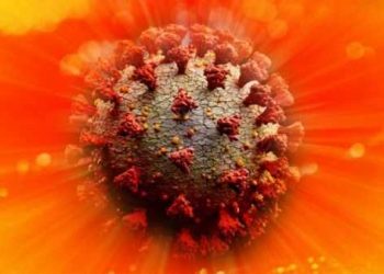 South African President Ramaphosa Says Country’s Outbreak Will Get Worse