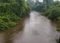 Let us all Save River Tano now.