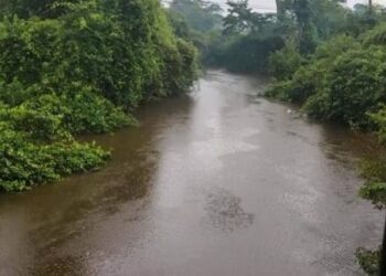 Let us all Save River Tano now.