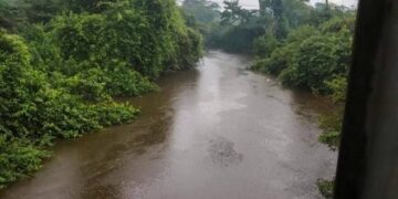 Let us all Save River Tano now.
