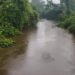 Let us all Save River Tano now.